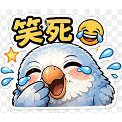 藍銀絲可愛鸚鵡