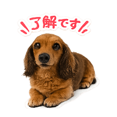 harucyan_20260423170536