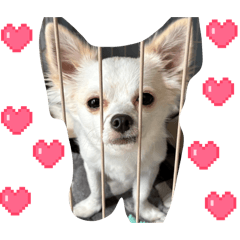 Angel1771_20260423171432