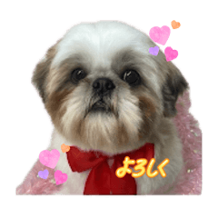 megumimi_20260423172457