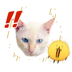 KUMAKUMA_20260423155018