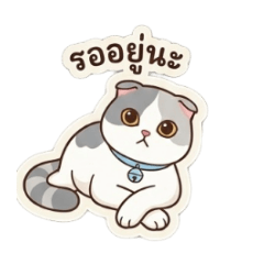 Bencha S_20260423154607