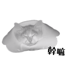 林檬的生活日常