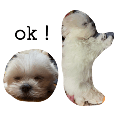 Boo可思議的日常