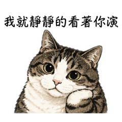 社交能量0%的貓