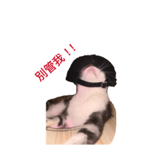 我是柚ㄗ