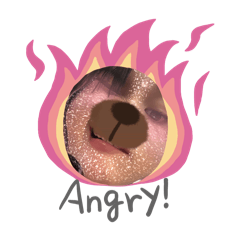 Fewood_20260424011910