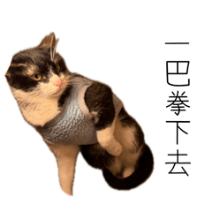 有點不耐煩的感覺