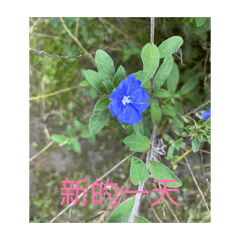 Mandy_20260424072659