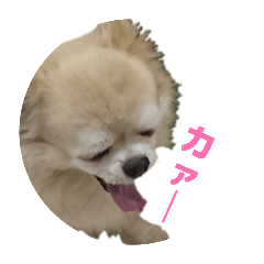 sogokomari_20260423173154