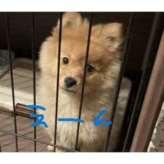 ebimero_20260423173220