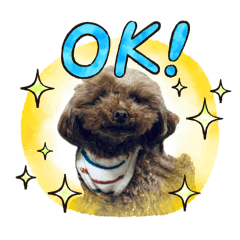 SHINAMON_20260423173403