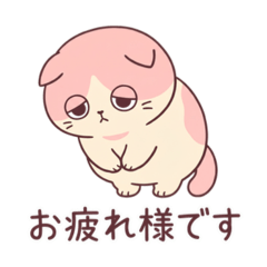 Yamamu_20260423173601