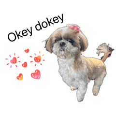 Komugiland_20260423173925