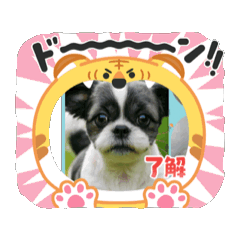 Azukichankawaiisutanpu