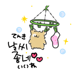 noanim_20260419174152