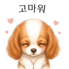 Cute Cavalier Reply Stickers KR