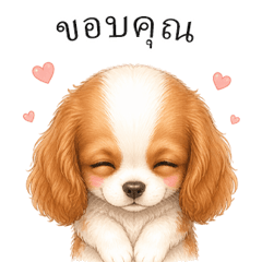 Cute Cavalier Reply Stickers TH