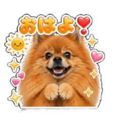 pafoKEN5_20260423160341