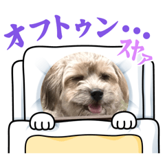 shinonome_20260423174200