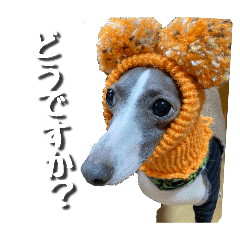 noamama_20260423174701