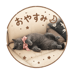 Watanabe_20260423174624