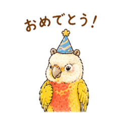 Suncheek Conure Chan Vol.2