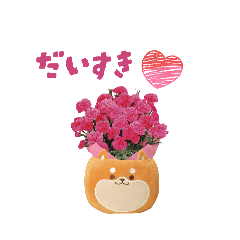 Pchan_20260423191721