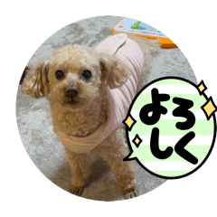 ayumu_20260423191941