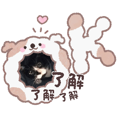 octto_20260423192543