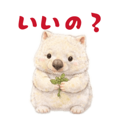 enoki_20260423192923