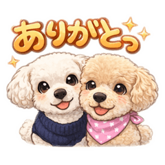 tomo121_20260423192614