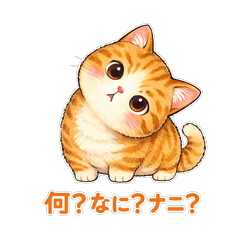 Munchkin cats have questions