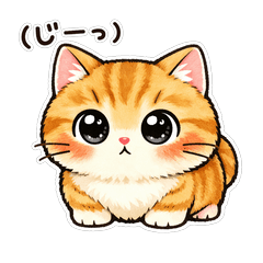 Munchkin wants to have relaxed reaction