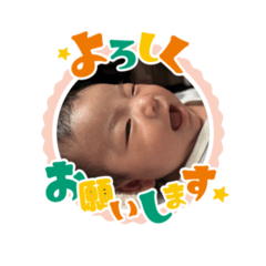 ruito_20260423195508