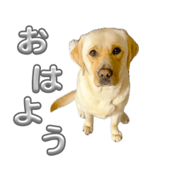 marudai_20260423230238