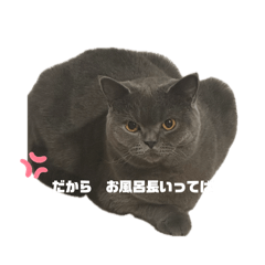 mikitomo_20260423231008