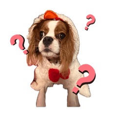 ayaminnie_20260423225801