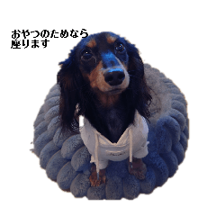 ROLLINGDucks_20260423230916