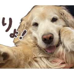 Matsuko_20260423231413