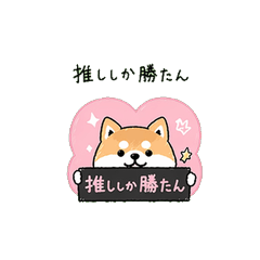 Shiba Inu Otaku Stickers
