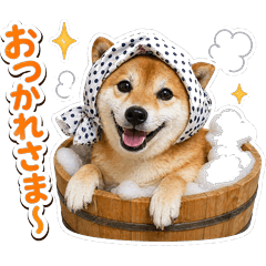 Komachi Shiba Inu Daily Sticker