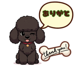Black Toy Poodle "Kojiro" Cute & Healing
