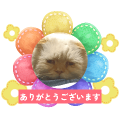 Shanti_20260423180246