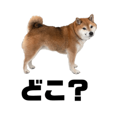 ichigoore_20260423180729