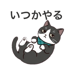 Sasapapa_20260423180713