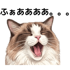 chanher10_20260423193122