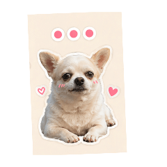 Noomzuza_20260423174104