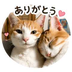 Our Family Cats Stamps