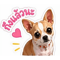 Chihuahua Mood Stickers_20260423174048